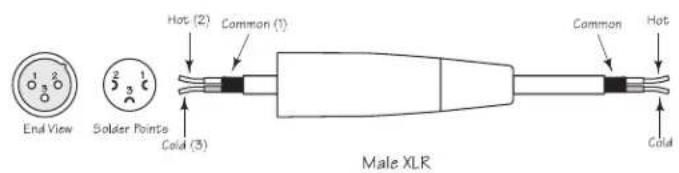 SAMSON Auro X12D - Cables y Conectores - 5