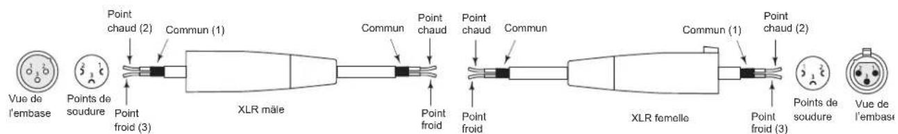 SAMSON Live L1215 - Connexion des enceintes Live - 1