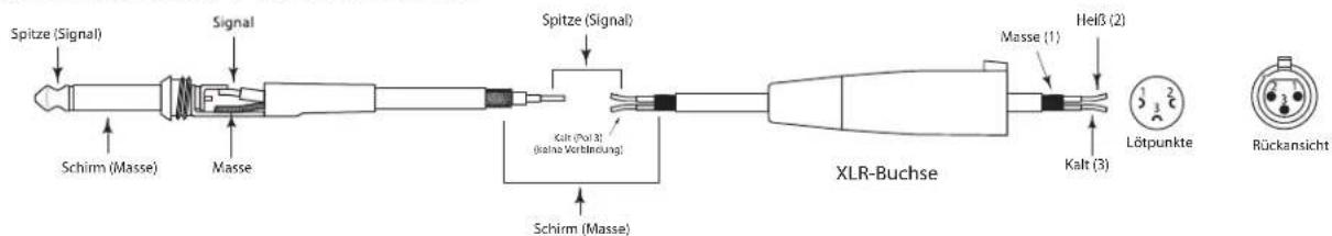SAMSON Live L1215 - Live-Serie anschließen - 5