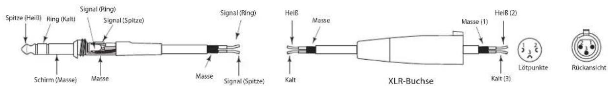 SAMSON Live L1215 - Live-Serie anschließen - 3