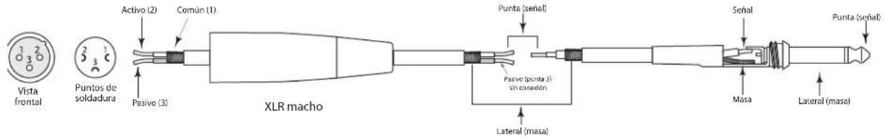 SAMSON Live L1215 - Conexión de los Live Series - 4