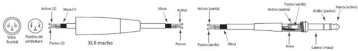 SAMSON Live L1215 - Conexión de los Live Series - 2