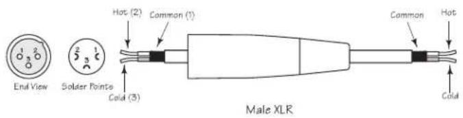 SAMSON Auro X15D - XLR to XLR Balanced - 1