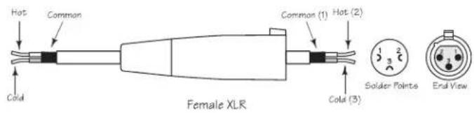 SAMSON Auro X15D - XLR to XLR Balanced - 2