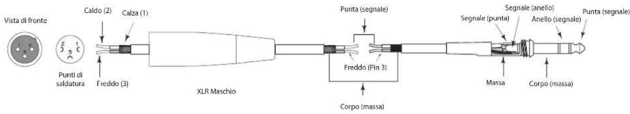 SAMSON Auro D210 - Collegamenti - 8