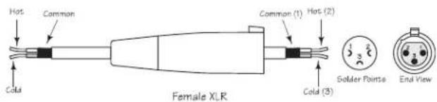 SAMSON Auro D210 - Connexions - 6