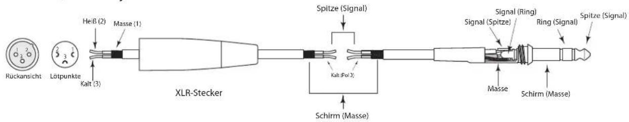 SAMSON Auro D210 - Anschlüsse - 8