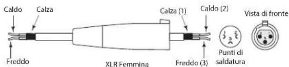 SAMSON Auro D210 - Collegamenti - 6