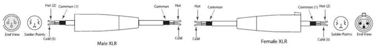 SAMSON Live L612 - Connecting The Live Series - 1