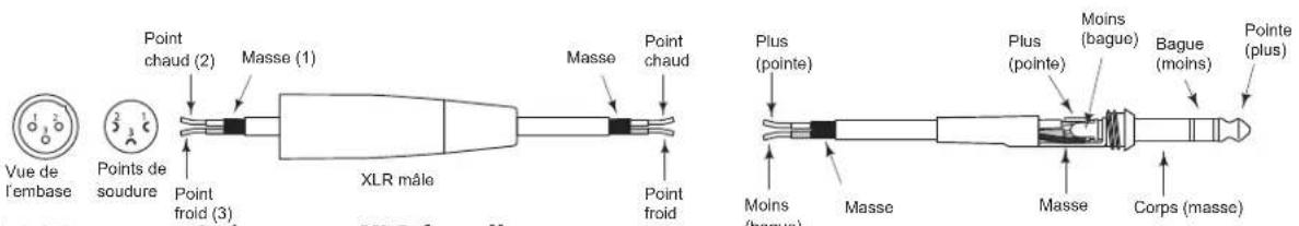SAMSON Live L612 - Connexion des enceintes Live - 2