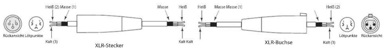 SAMSON Live L612 - Live-Serie anschließen - 1