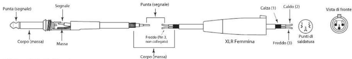 SAMSON Live L612 - I Collegamenti della Serie Live - 5