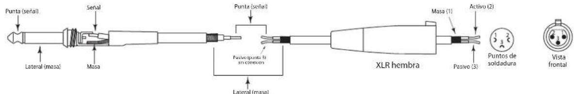 SAMSON Live L612 - Conexión de los Live Series - 5