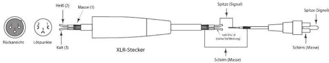 SAMSON Live L612 - Live-Serie anschließen - 6