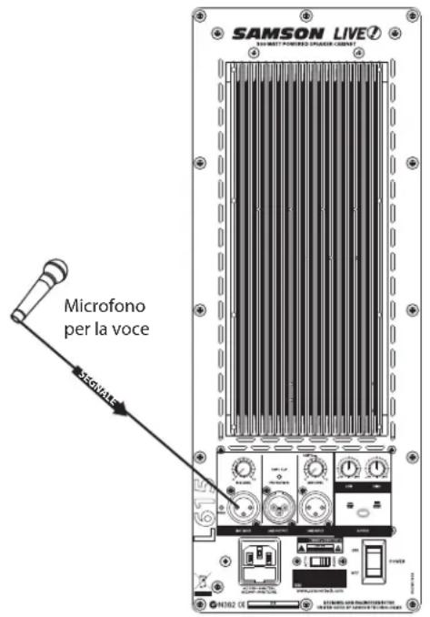 SAMSON Live L612 - L'Uso con un Segnale a Livello di Linea - 1