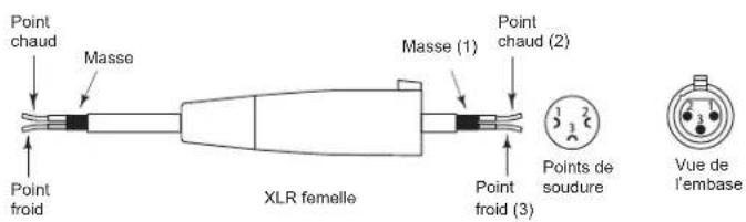 SAMSON Live L612 - Connexion des enceintes Live - 4