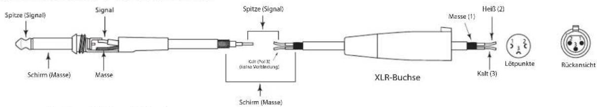 SAMSON Live L612 - Live-Serie anschließen - 5