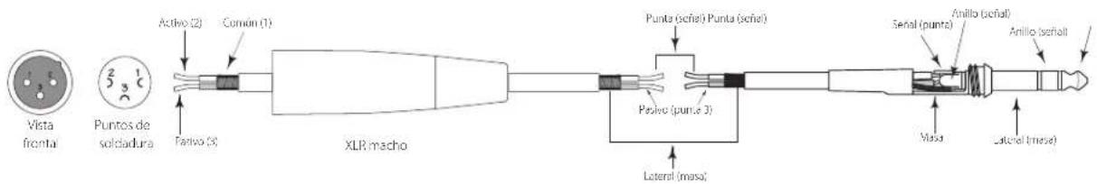 SAMSON Auro D208 - Auro D208/D210 Features - 5