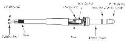 SAMSON Auro D208 - Conexiones - 4