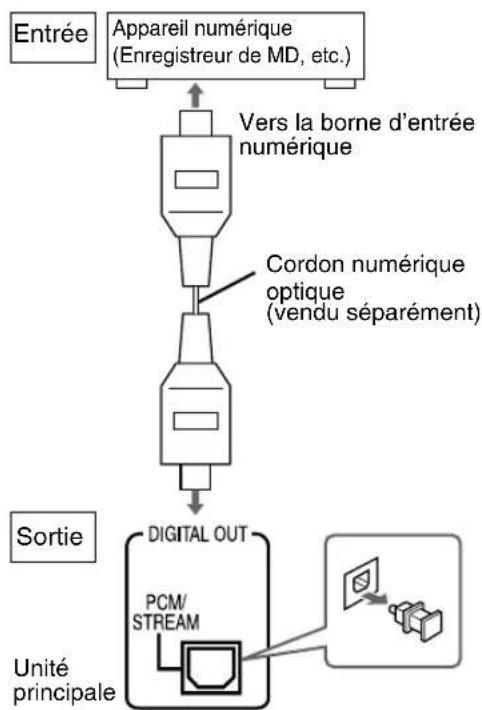 JVC SPEXP1 - Raccordement à un apparéil numérique - 1