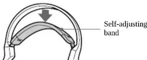 SONY MDRDS3000 - Adjust the volume. - 2