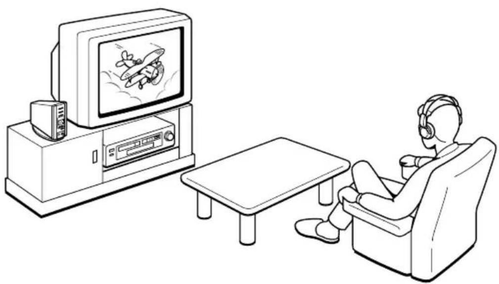 SONY MDRDS5000 - Kopfhörsystem-Konfiguration - 1