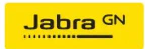 JABRA Evolve 30 - 1