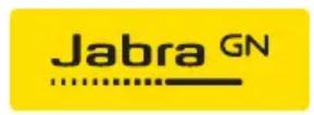 JABRA Evolve 20 - 1