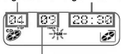 SONY ZSM30 - Aufnehmen programmierter Titel - 2