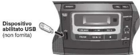 PANASONIC RXD50 - Collegamento ad un dispositivo di memoria di massa USB - 1