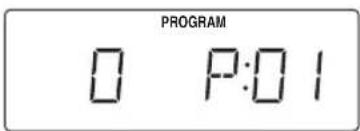 JVC RCEX30E - Programmed playback - 2