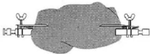 CLATRONIC MBG 2788 - Grillen und Grillen mit dem Drehspieß - 1