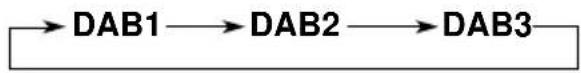 JVC KSLX200R - Selecteer de DAB-tuner (DAB1-3). - 2