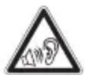 BLAUPUNKT Birmingham 2012 - ¡PRECAUCIÓN! - 1