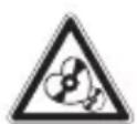 BLAUPUNKT Concept Pro II - WARNING! - 1