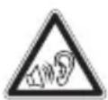 BLAUPUNKT Concept Pro II - PRECAUTIE! - 1