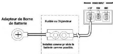 JENSEN Power 20001D - Borne de pulsance (+12V / B + ) - 1