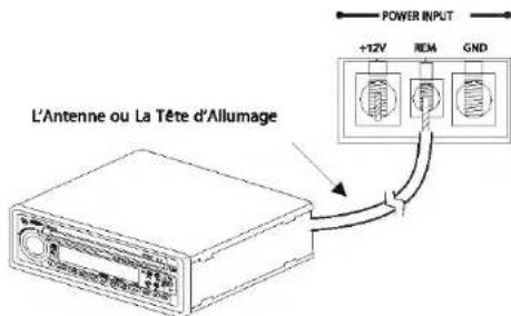 JENSEN Power 20001D - Borne à distance (REM) - 1