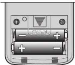 TRUMA Saphir Vario - Sostituzione della batteria del telecomando - 1