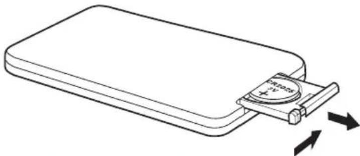 TOSHIBA SBK1 - Replacing the battery - 1