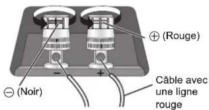 TECHNICS SBC700E - Pour connecter les câbles de l'enceinte - 3