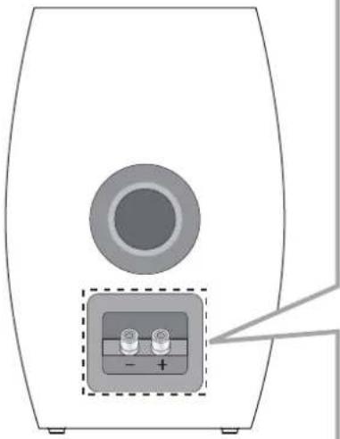 TECHNICS SBC700E - Pour connecter les câbles de l'enceinte - 1