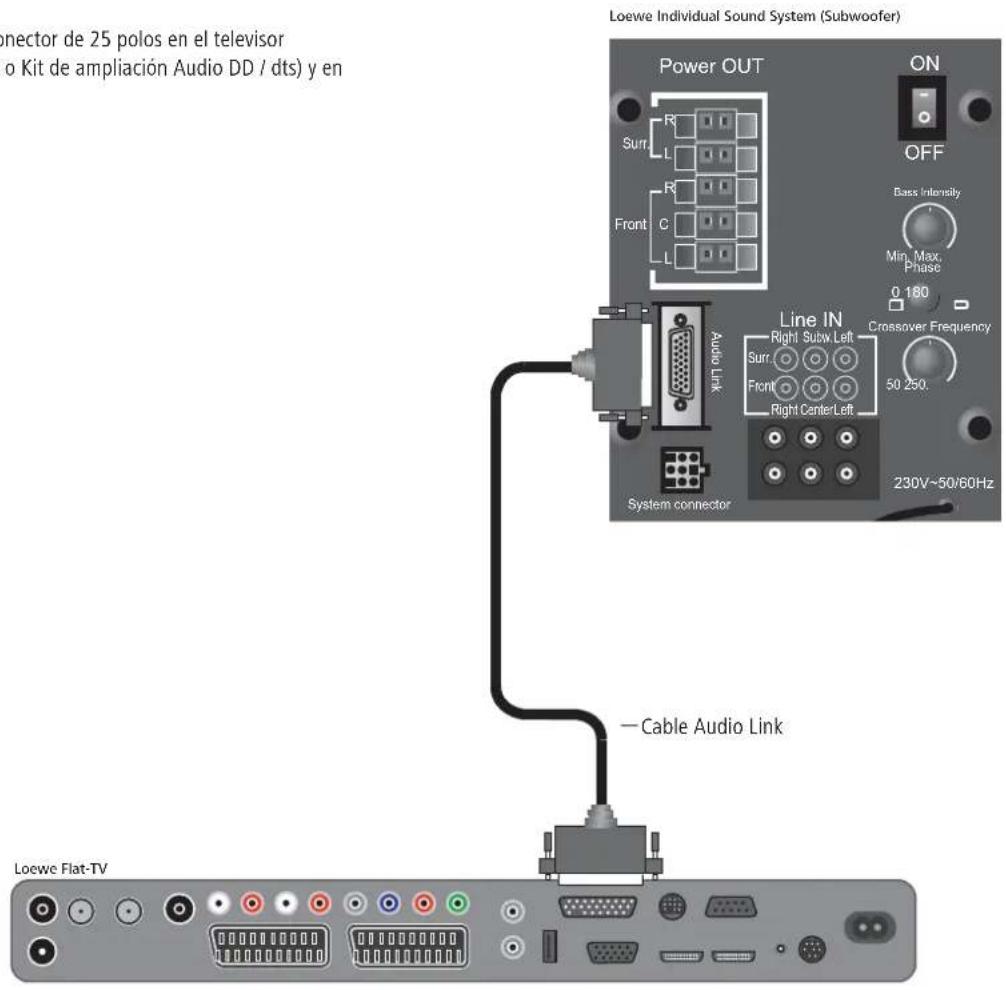 LOEWE Centerspeaker I Compose - Cableado de televisor de Loewe (L27xx/SL1xx) - Individual Sound - 1