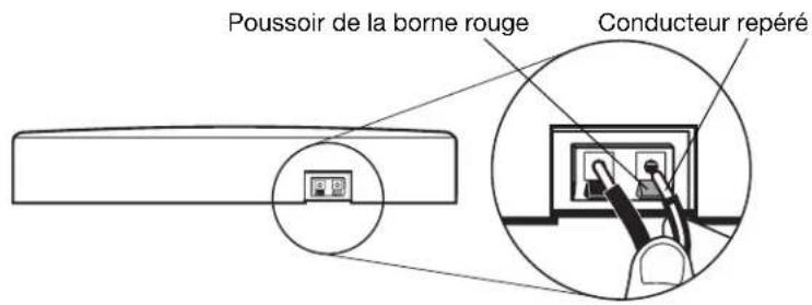 BOSE VCS30 Series II - Réalisation des connexions - 1