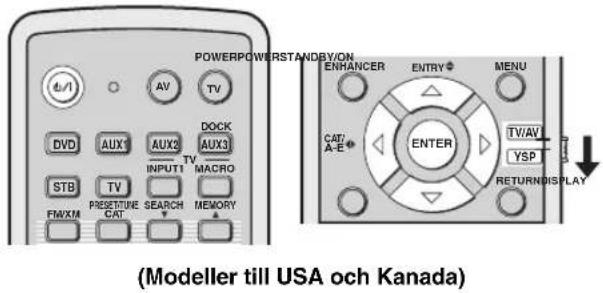 YAMAHA HTY7030 - Användning av systemparametrarna - 2