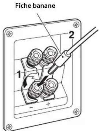 YAMAHA NSF160 - Utilisation d'une fiche banane - 1