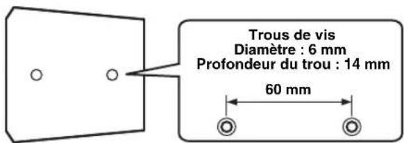 Trous de vis Diamètre : 6 mm Profondeur du trou : 14 mm 60 mm