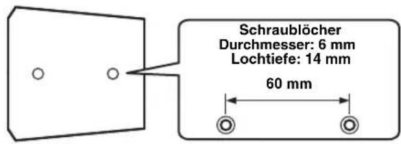 Schraublöcher Durchmesser: 6 mm Lochtiefe: 14 mm 60 mm