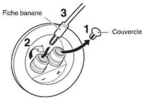 Fiche banane 1 Couvercle 2 3