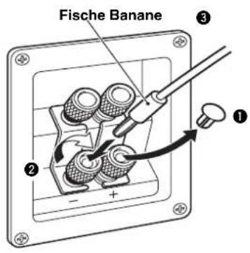 YAMAHA NSC525 - Lorsqu'une fiche banane est utilisée - 1